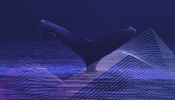 DOGE, SHIB Değil: Bu 2 Altcoin’e Balina Akını Var!