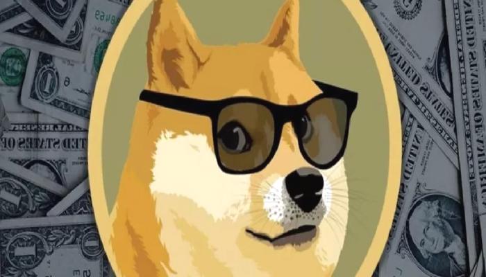 DOGE Uzun Vadeli Fiyat Varsayımı