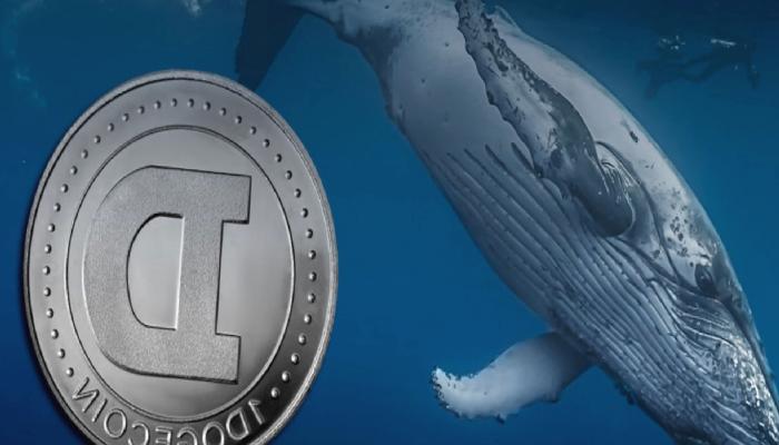 DOGE ve Ripple İçin Alarm: Balinalar Cüzdanları Boşalttı!