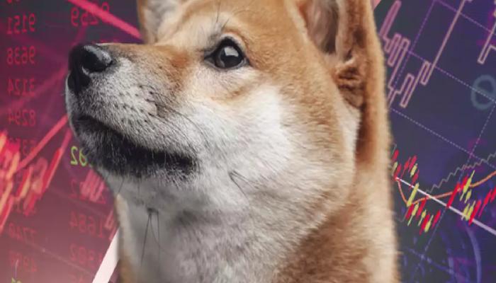 Dogecoin’i Unutun! Bu 3 Meme Coin’den Koşu Bekleniyor!
