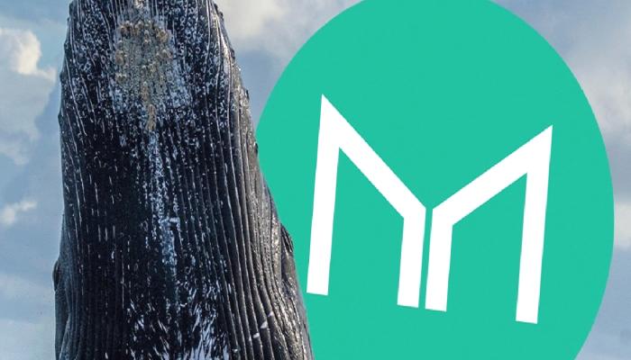En Büyük 500 Balina, MKR ve Bu 7 Altcoin’e Hamle Etti!
