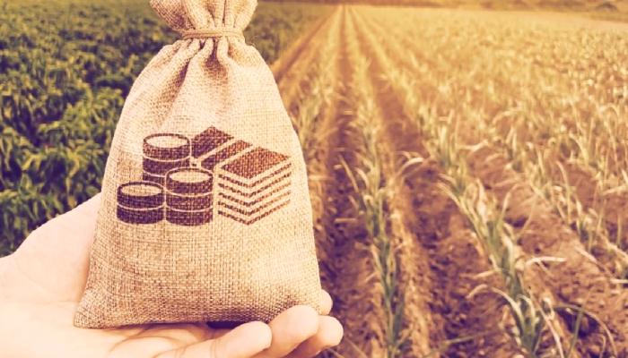 Farm Coin Nedir? Farm Coin Yorumları ne?