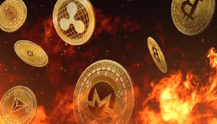 FTX Bilançosu: Bu Altcoin’ler Uçarken Bunlar Ateş Altında!
