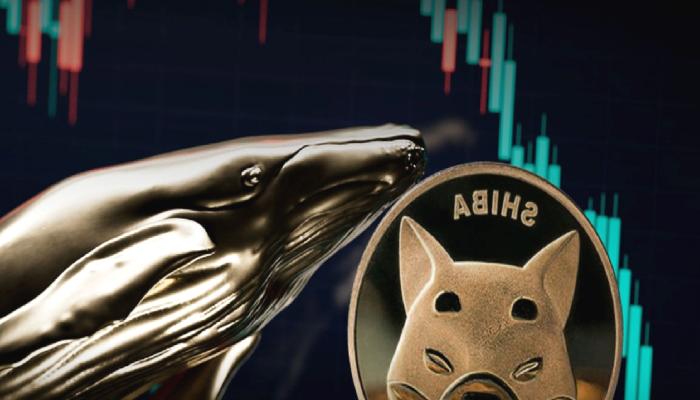 FTX Krizinde SHIB Ayrıntısı: Trilyonlarca Coin Harekete Geçti!