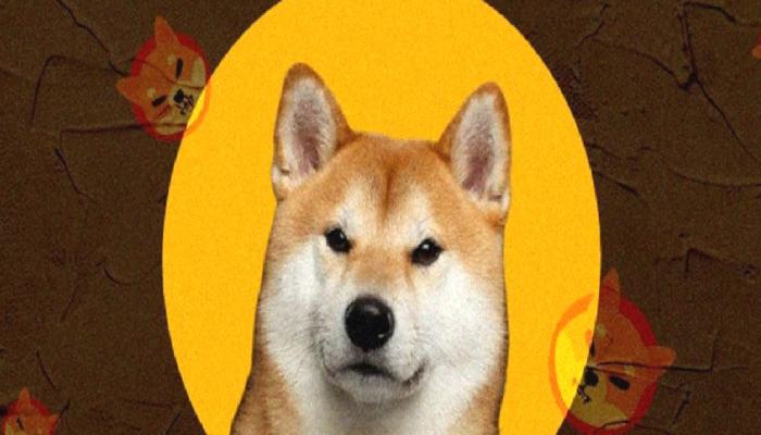 Kasım Kestirimleri Çıktı: Shiba Inu Bu Düzeyleri Görebilir!