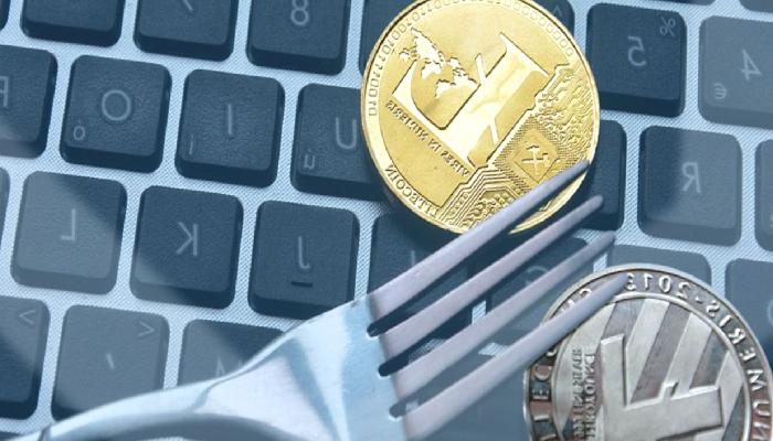 Litecoin Cash Nedir? LCC Ne İşe Yarar?