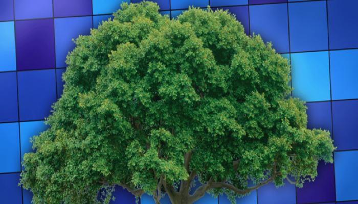 Merkle Tree (Merkle Ağacı) Nedir?