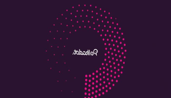 Polkadot Finansörü, DOT’un Bir Menkul Kıymet Olarak Görülmemesi Gerektiğini Söyledi