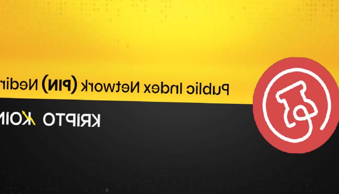 Public Index Network Nedir? PIN Ne İşe Yarar?