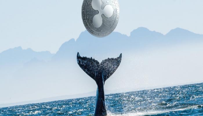 Ripple (XRP) Balinaları Hareket Ediyor