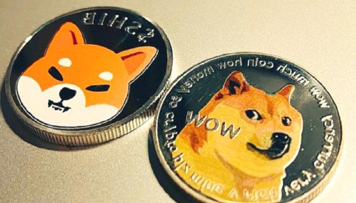 SHIB, DOGE ve LUNC: Haftaya Bu Düzeyler Bekleniyor!