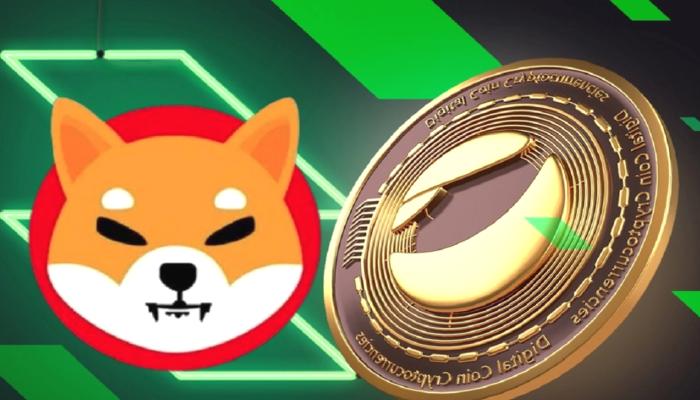 SHIB, LUNC ve XRP İçin Dev İddia: Analistler Bu Düzeyler Dedi!