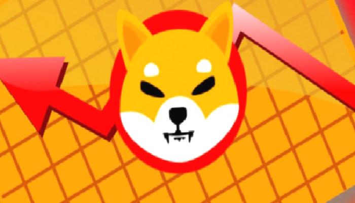 Shiba Inu 4 Büyük Haber Duyurdu: Büyük Takviye Geldi!