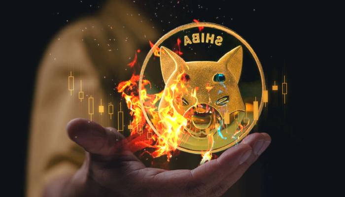 Shiba Inu Coin Yakma Sistemi Nedir? Neden Kıymetli?