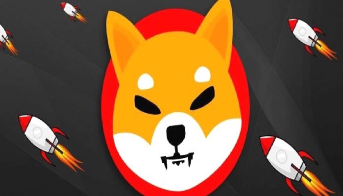 Shiba Inu Ekibi Duyurdu: Büyük Haber Geliyor!