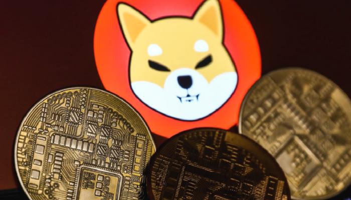 Shiba Inu İçin Uyaran Analist, Ralli Yapacak Coinleri Paylaştı!