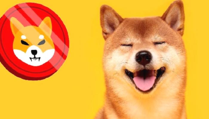 Shiba Inu Sürpriz Haberi Duyurdu: Tarihde Açıklandı!