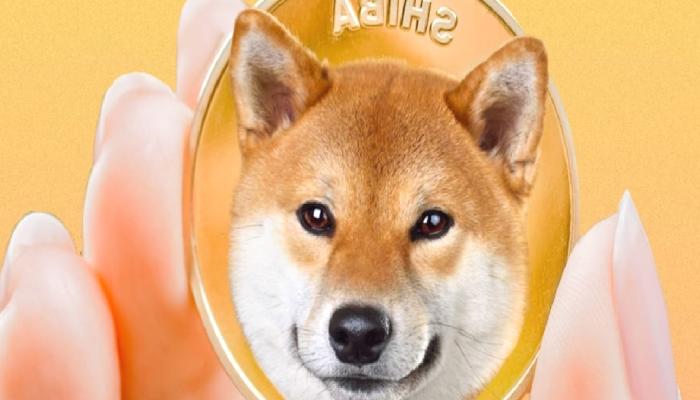 Shiba Inu Tarafında Topluluk Yakımları Sürüyor