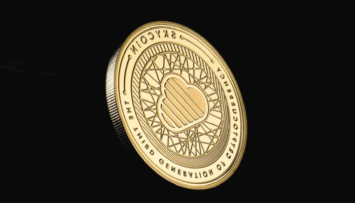 Skycoin Nedir? SKY Ne İşe Yarar?