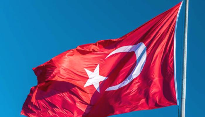 Türkler Shiba Inu Değil: Bu 10 Altcoin’in Peşine Düştü!