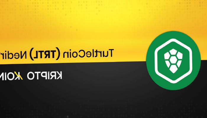 TurtleCoin Nedir? TRTL Ne İşe Yarar?