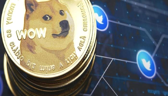 Twitter ve DOGE Bağı Yankılanıyor