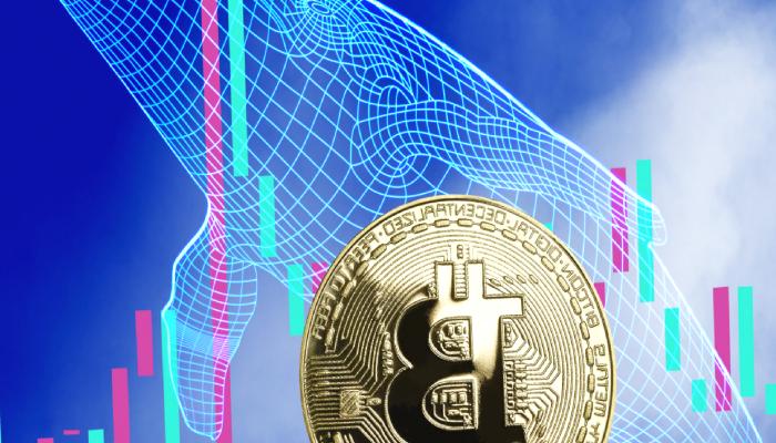 Ünlü Bitcoin Balinası: 2022, 2023, 2024 ve 2025’te Bu Seviyeler!