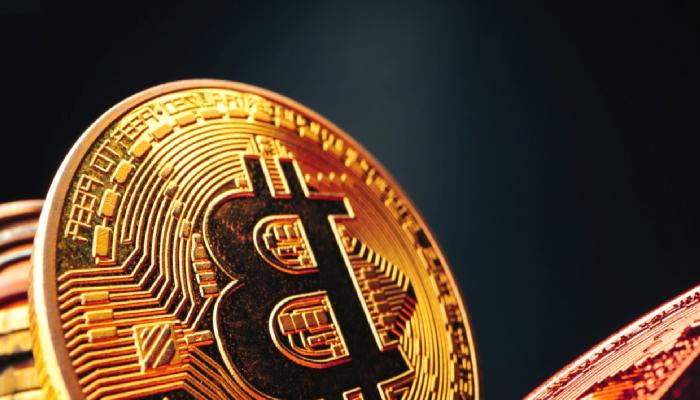 Ünlü Bitcoin İddiacısı: Her Şeyi Satın! Yeni Dalga Geliyor