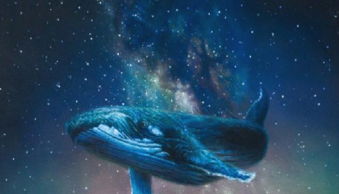 Ünlü Kripto Para Balinası: Paranızı Bu 2 Altcoin’e Park Edin!