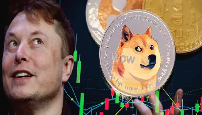 Usta İsim Elon Musk’a Seslendi: Bu 2 Altcoin Kâr Getirir!