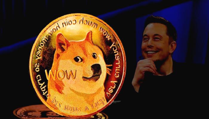 Uzman: DOGE Uçacak! Paranızı Bu Coinlere Koyun