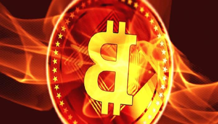 10 Bin mi 250 Bin Dolar mı? Bu Bitcoin Varsayımları Şaşırttı!