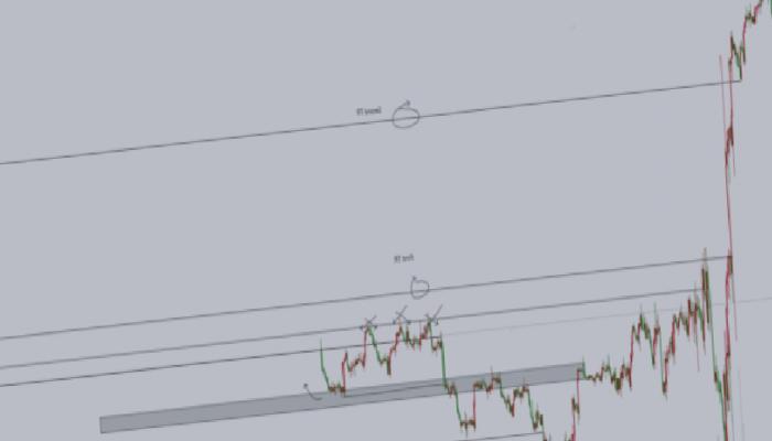 2 Usta Analist, Sepetine Ekleyeceği 6 Altcoin Duyurdu!