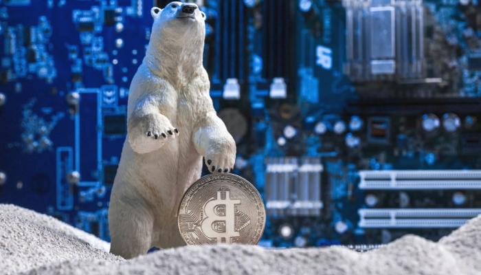 2023 İçin 3 Bitcoin Fiyatı İddiası: Bu Düzeylere Gidiyoruz!