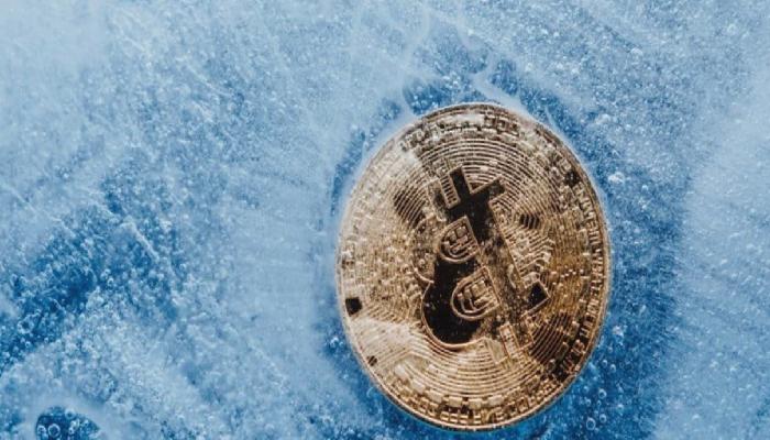 Amber, Kripto Kışında Sıkı Giyinmeye Çalışıyor