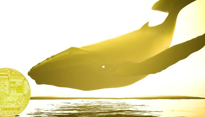Binance Bu Altcoin’den Satmış Olabilir: Balinalar da Sattı!