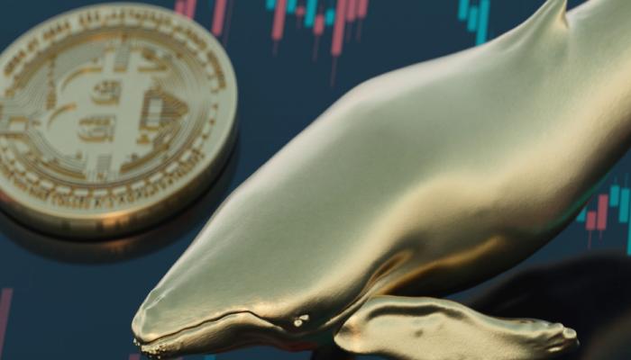 Bitcoin Balinaları Korkuttu: 5. Dalga Yakında Geliyor!