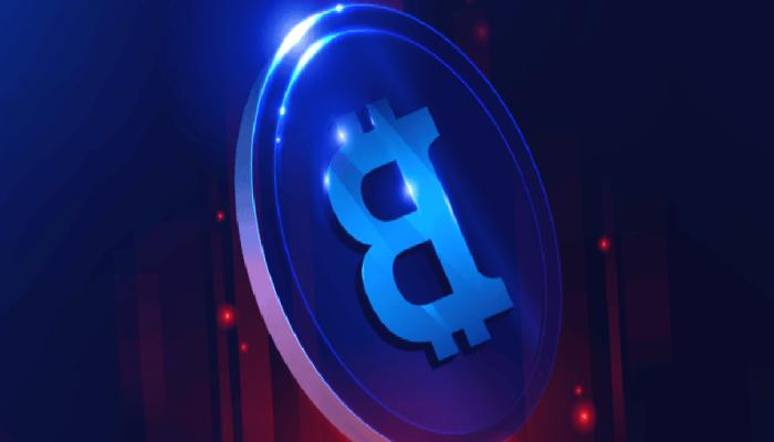 Bitcoin Maksimalisti: Coinlerinizi Bu Borsadan Derhal Çekin!