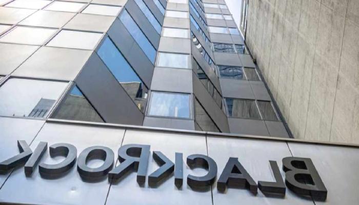 BlackRock, Kripto Paranın İhtilal Yaratacağına İnanıyor