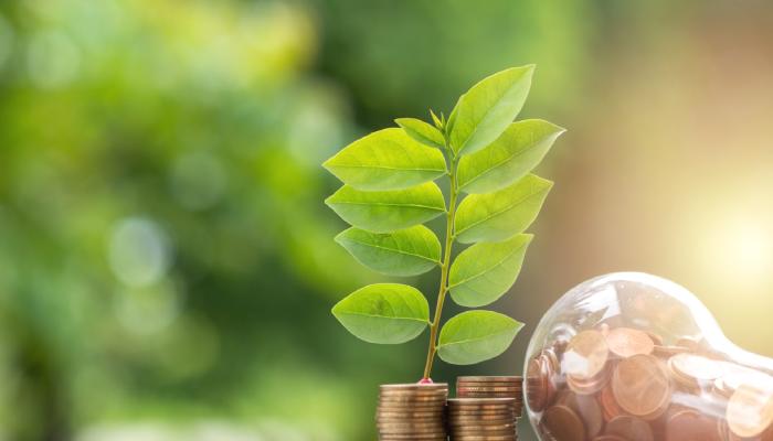 Bu 5 Altcoin Listede! İşte Patlayacak Etraf Dostu Coinler