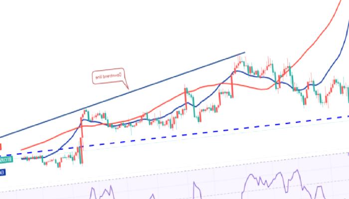 Bu Hafta O 4 Altcoin Herkesin Radarında! ‘Fırlayabilirler’
