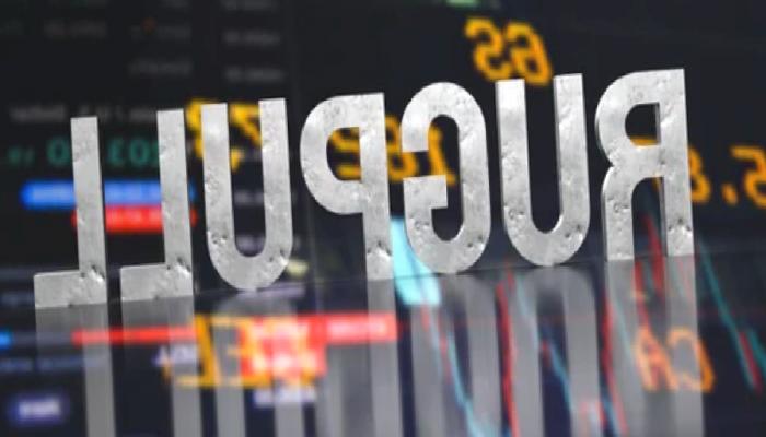 Bu Kripto Para Platformu Hesapları Sildi ve Kaçtı!