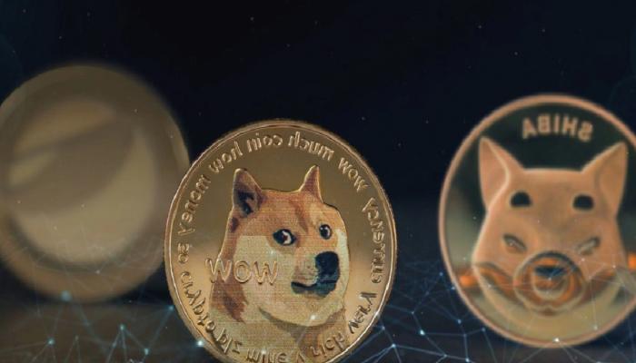 Büyük İddia: DOGE, LUNC ve SHIB Ocak’ta Bu Seviyelerde!