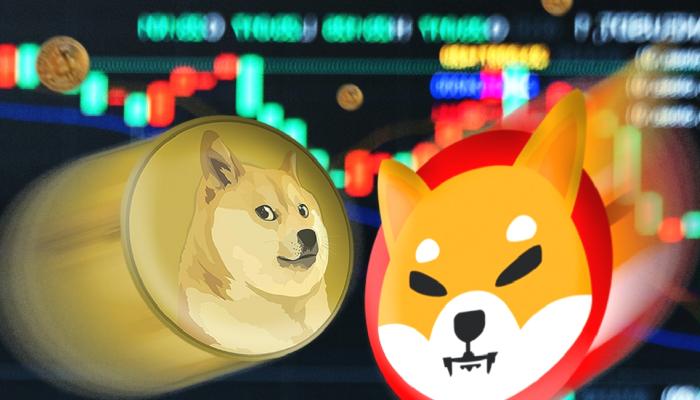 Danışmanlık Devi: SHIB, DOGE’u Bırakın! Bu Altcoin En Güzeli