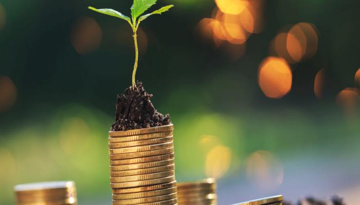 DeFi Protokolü Perennial, 12 Milyon Dolarlık Fon Topladı