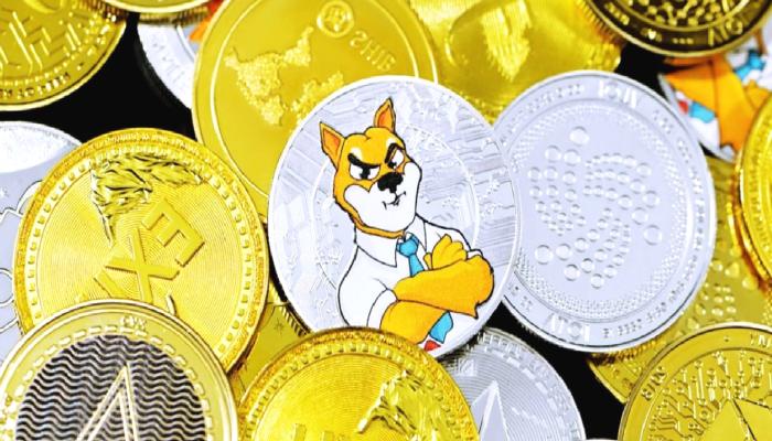 Dev Borsa Onayladı: Bilançosunda Bu Meme Coin Var!