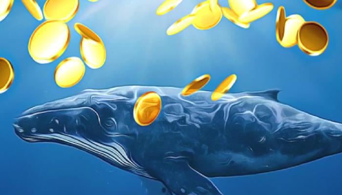 Dikkat: Dev Balina, Bu Altcoin’i Borsaya Boşaltıyor!