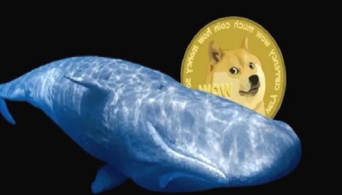 Dogecoin Balinalarının Yeni Avları Bu Altcoinler!
