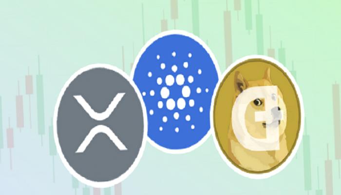 Dogecoin, Cardano ve Ripple İçin Epik Yıl Sonu Tahminleri!