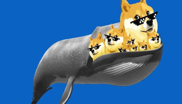 Dogecoin Satan Balinalar, Bu 2 Altcoin’den Alıyor!